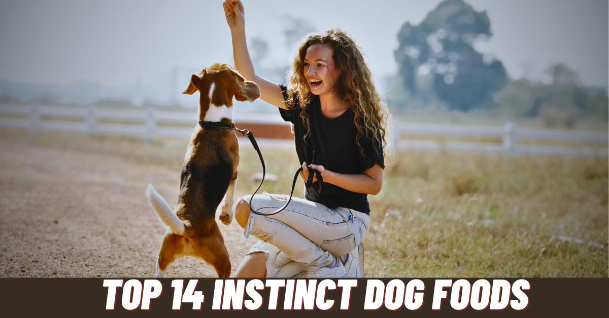 instinct dog food