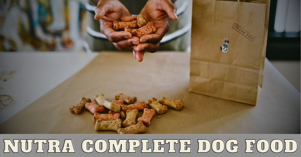 Nutra complete dog food