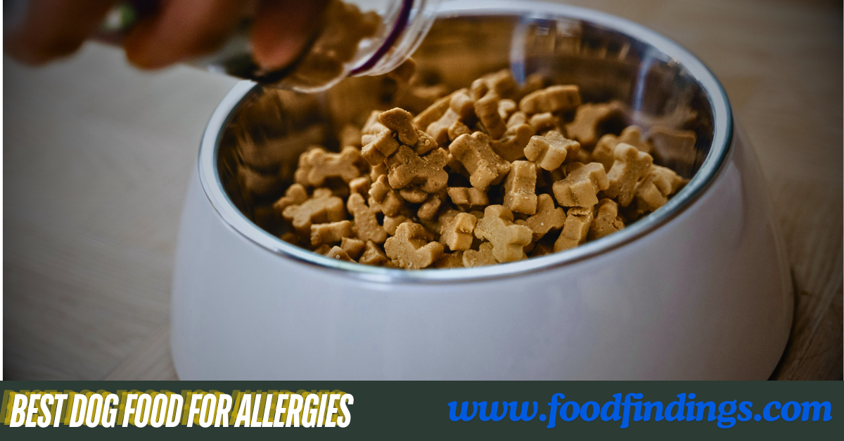 best dog food for allergies