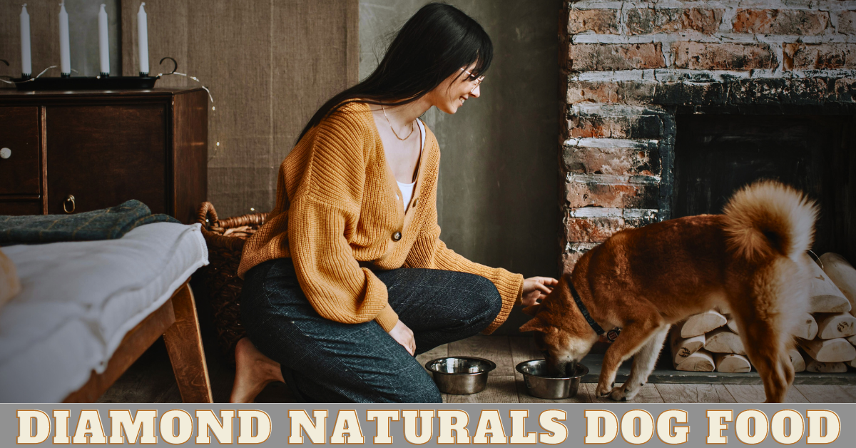 diamond naturals dog food