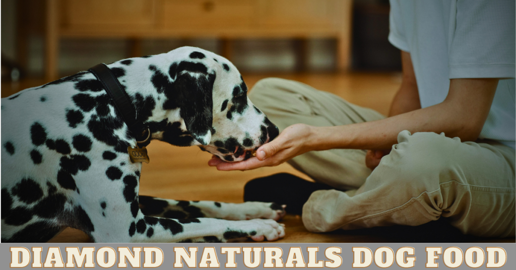 diamond naturals dog food