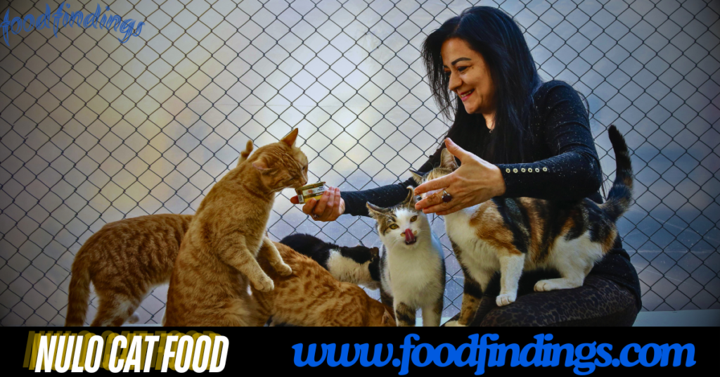 Nulo cat food reviews