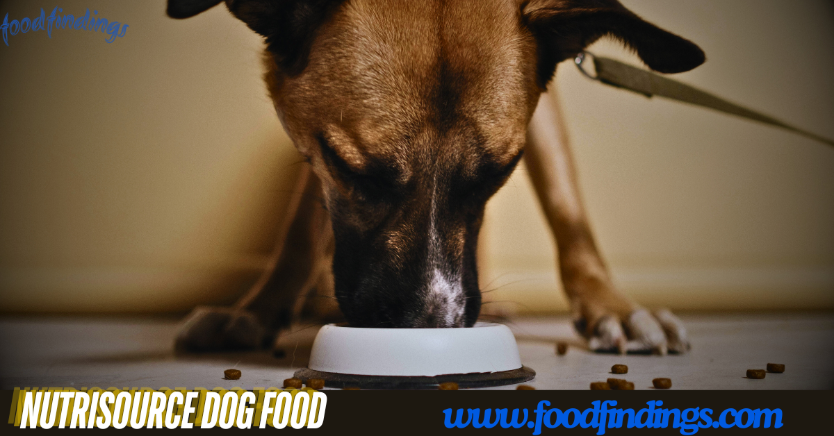 nutrisource dog food