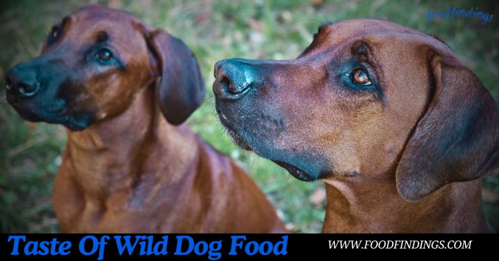 taste of the wild dog food reviews