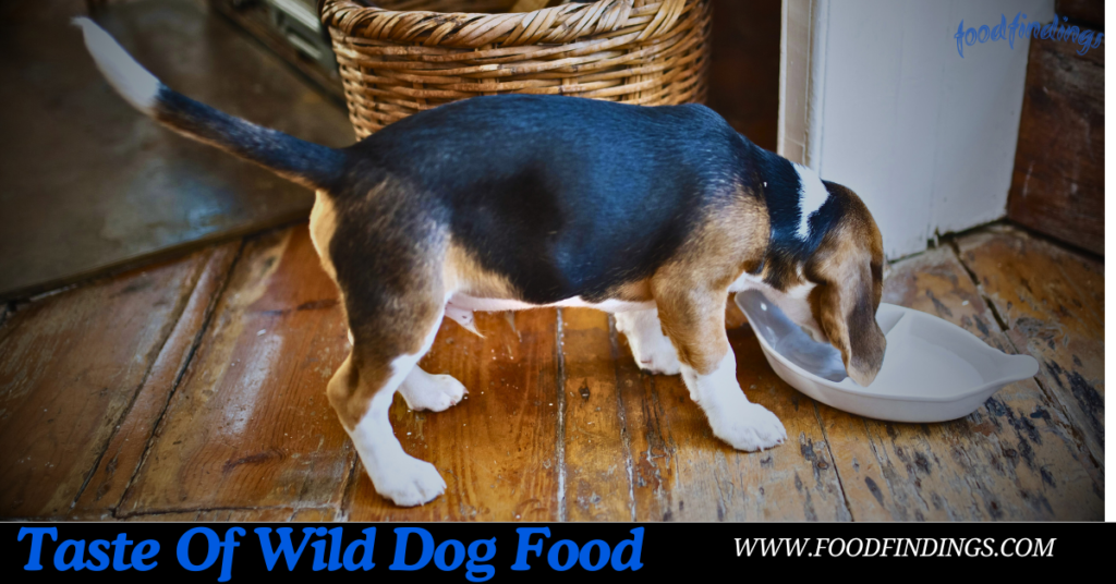 taste of the wild dog food