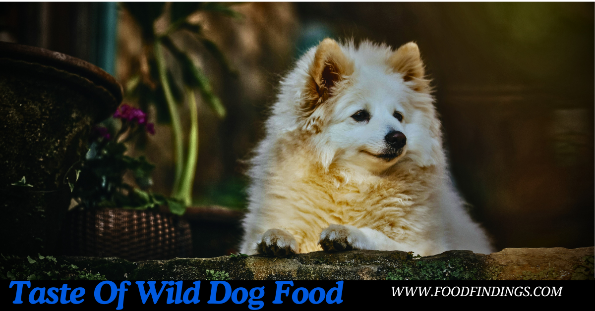 Taste of the wild dog food