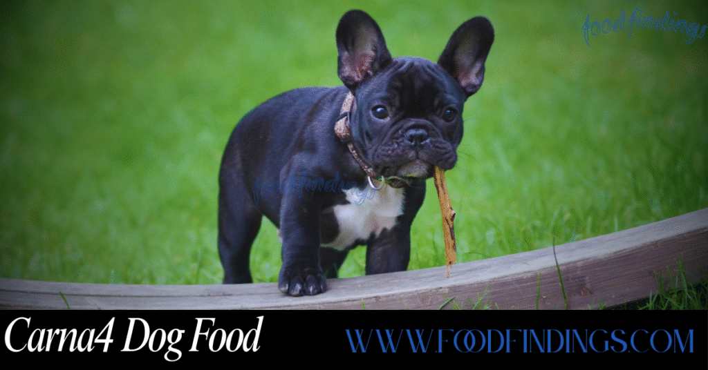 carna4 dog food review