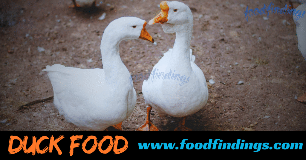 good foods for duck
