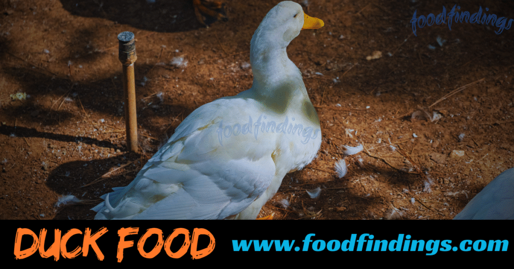 Duck foods