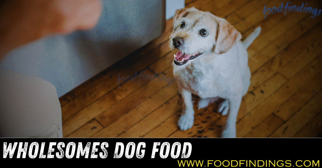 Wholesome dog food near me