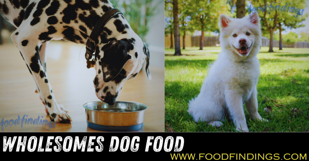 Wholesome dog food